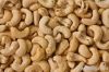 Cashew Kernel & Nuts