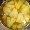 Canned Pineapple