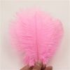 QUALITY OSTRICH FEATHERS FOR CENTERPIECE AND DUSTER.