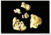 GOLD NUGGETS FOR SALE!...