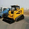 Track type skid steer loader