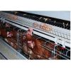 Chicken Cage Hen Coop Poultry Chicken Cage