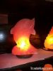 fish salt lamp