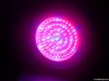 90W LED Grow Lights Discount Super Bright led grow Lights for medical