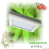 300 watt led grow light for Greenhouse Lighting Horticulture led grow