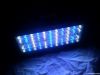 High Quality New Model 100w Led Aquarium Lighting For sale