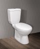 Ceramic Water Closet (2 pieces/Dual flush/Nano finished/S trap) 