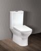 Ceramic Water Closet (2 pieces/Dual flush/Nano finished/S trap) 