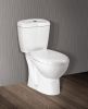 Two piece toilet C301