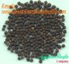 Vietnam Black Pepper 500 g/l 550 g/l (High Quality_Best Price)