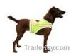 dog safety clothing