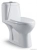 washdown two piece toilet