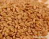 Wheat | Wheat exporter...