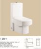 Ceramic Toilet Water Closet