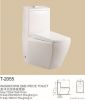 Ceramic One Piece Toilet