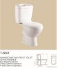 two piece toilet bowl