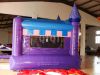 Hot Sale Inflatable Jumping Castle