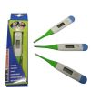 Digital Thermometer