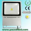 TK02 Bridgelux chip outdoor 100W LED floodlight IP65 CE ROHS 100Lm/w