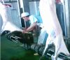 Arm Type Hydraulic Sheep/goat Skin Removing Machine