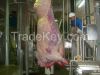 Cattle Carcass Brisket Opening Saw