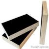 Film faced plywood black film faced plywood brown film faced plywood