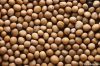 White Mustard Seeds| A...