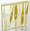 Decorative Laminated Glass with Organic