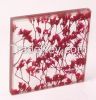 Decorative Laminated Glass with Organic