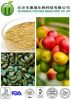  Green Coffee Bean Extract Total Chlorogenic Acid CAS No.327-97-9 Losing weight
