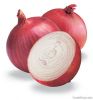 Fresh White Onion | Fr...