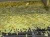 FROZEN FRENCH FRIES ( ...
