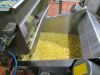 FROZEN FRENCH FRIES ( ...