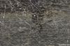 Dark emperador marble