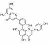 No Additive &amp;amp; GMO-Free Amentoflavone 20%, 25%, 30%, 90% Hplc