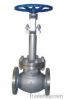 API globe valve with stainless steel