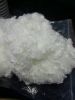 Polyester Quality Fibre Supplier VIRGIN, REGENERATED SOLID, HOLLOW, HOLLOW CONJUGATE and DYED PSF.