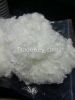 Hollow Conjugated Polyester Staple Fiber Filling