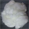 LM fiber,Low melt polyester fiber 4Dx51mm