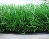 55mm artificial grass