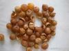 Organic SoapNuts Expor...