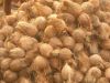 Semi Husked coconut, c...
