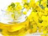 Refined Rapeseed Oil