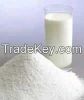 Milk Powder