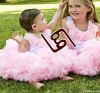 girls beautiful tutu skirt children's skirt