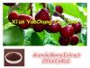 Acerola Berry Extract Powder 25%VC, HPLC