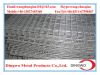 Welded Wire Mesh , weld mesh, welded mesh, galvanized welded wire mesh, stainless steel wire mesh, pvc coated welded wire mesh, wire mesh panles, welded wire mesh rolls