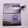 color-printing usb card customs mini usb card