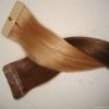 100% Brazilian Hair PU...