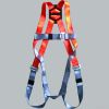 Full Body Harness